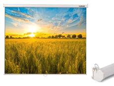 Экран для проектора Lumien Eco Picture LEP-100103, 200х200 см, 1:1, настенно-потолочный