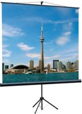 Экран для проектора Lumien Eco View LEV-100101, 150х150 см, 1:1, напольный